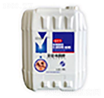 �r(n��ng)��΢�������-��؁����a(b��)-�����