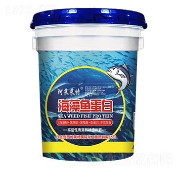 �����~(y��)����-��ķ�R��