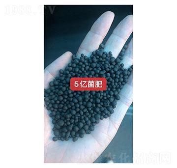 5�|����-���r