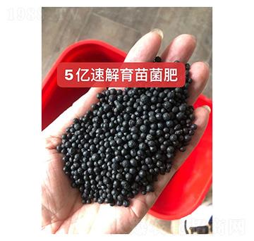 5�|�ٽ��������--���r