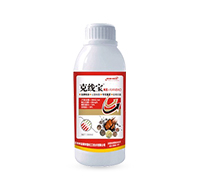 �˾������Y(ji��)���x��Чˎ