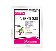 25%������������-��ʭ���