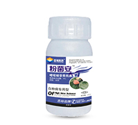 �۾���-���԰׷۲�����