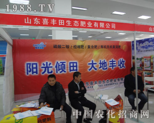 喜豐田——陽光傾田，大地豐收