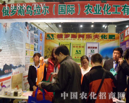 ���ݷ��Ͻ��ו��ϵ����⡪������������