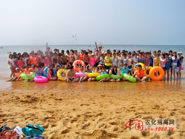 ������ĺ�������