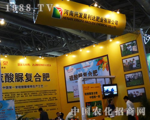 2013�����׏ͷʕ�