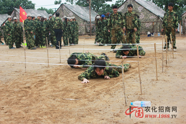 ����(zh��n)�(du��)--����