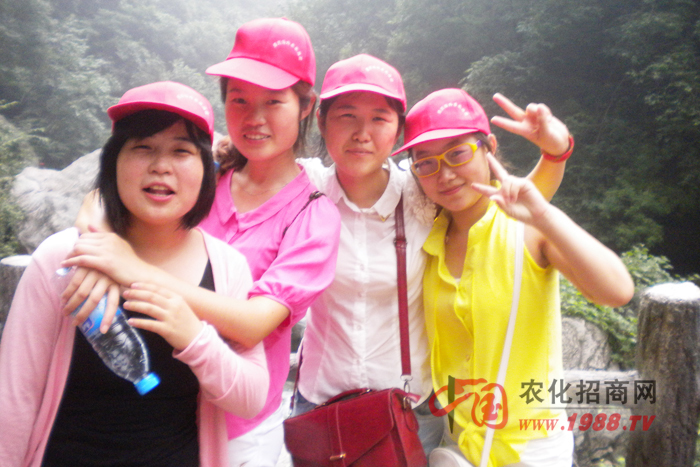 �������_(t��i)����-���Ƿ�