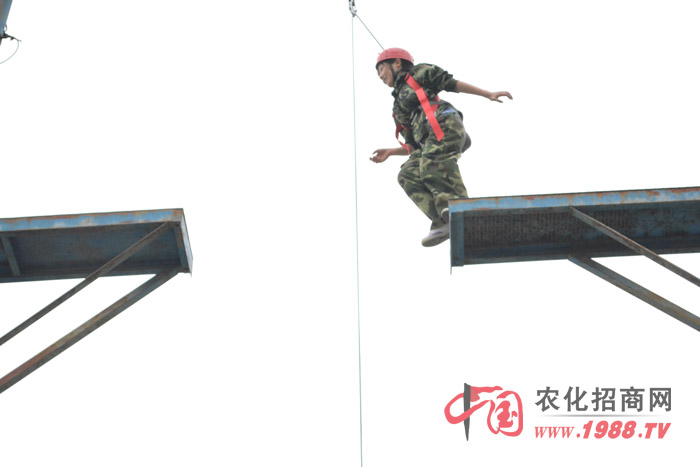 ��Ӗ(x��n)�нo��ӡ����̵��ǡ�ä�˷������������·���߿Ք������������I(y��)�����Ȏׂ�(g��)�(xi��ng)Ŀ����