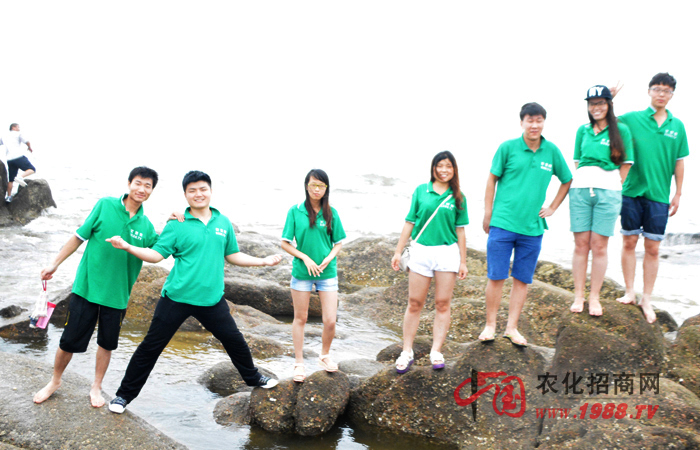 �׵�����2014ɽ�|����