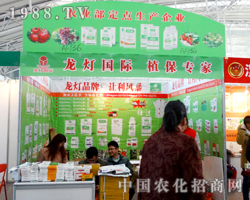 ����������2015�����I�N���p����������