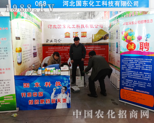     ���|������2015�ӱ�����ֲ���p�����������   