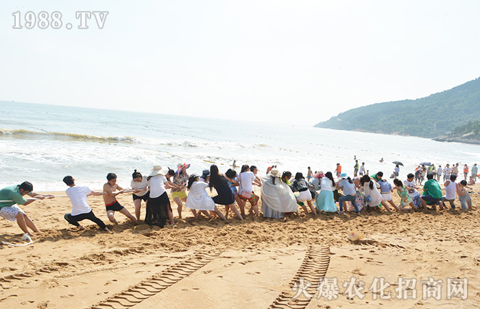 �泯�������L(f��ng)���--ӛ����֮��