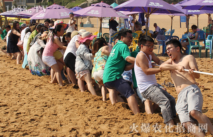 �������������һ��