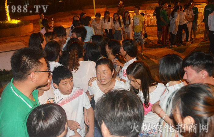 ������ ���w����