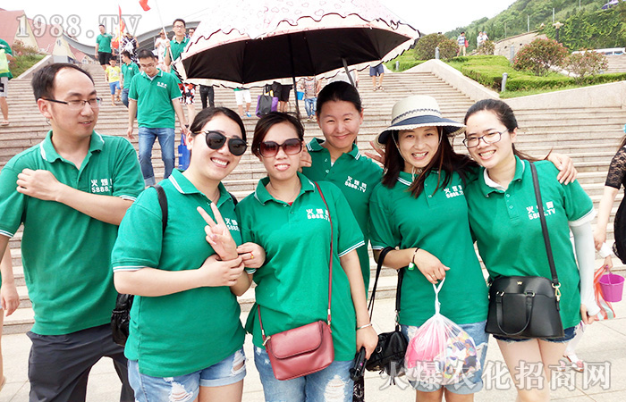     �����B�Ƹۣ����ܺ����������