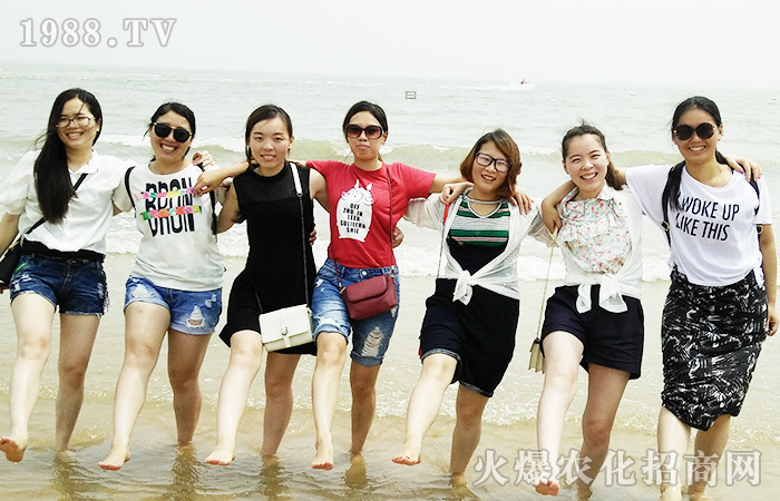     �����B�Ƹ������ܺ����������