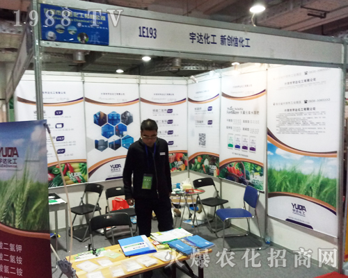 ���_(d��)����