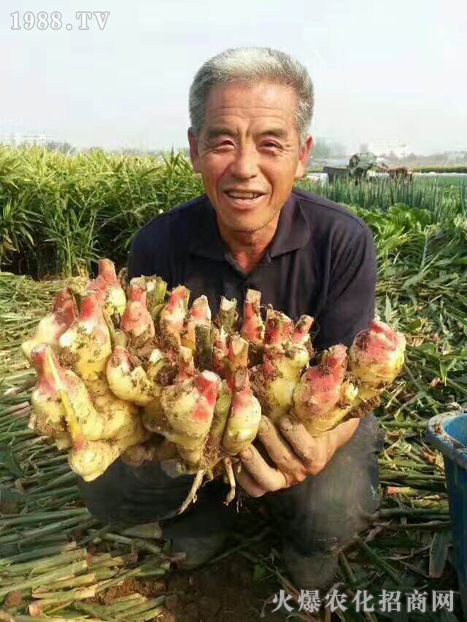 ���(y��ng)��ʢ�ʘI(y��)�Ƽ����޹�˾7