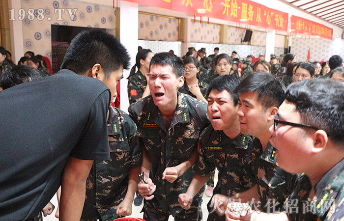 ǰʮ�꣬��ʮ�����𱬍��V�q��