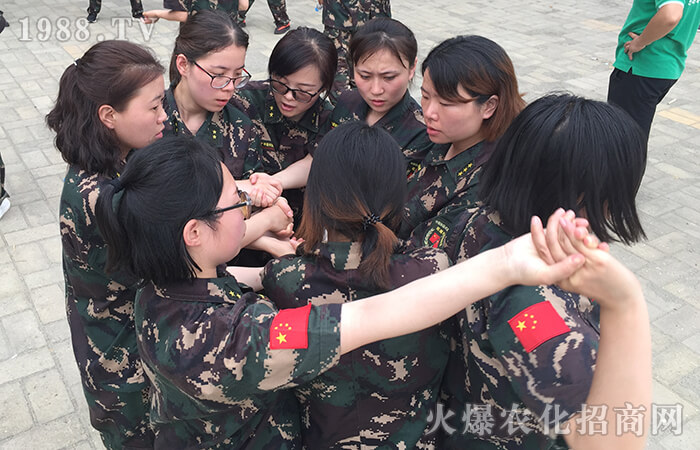 ʮ��ĥ�Z��(chu��ng)�ѿ� ʹ�����_�����