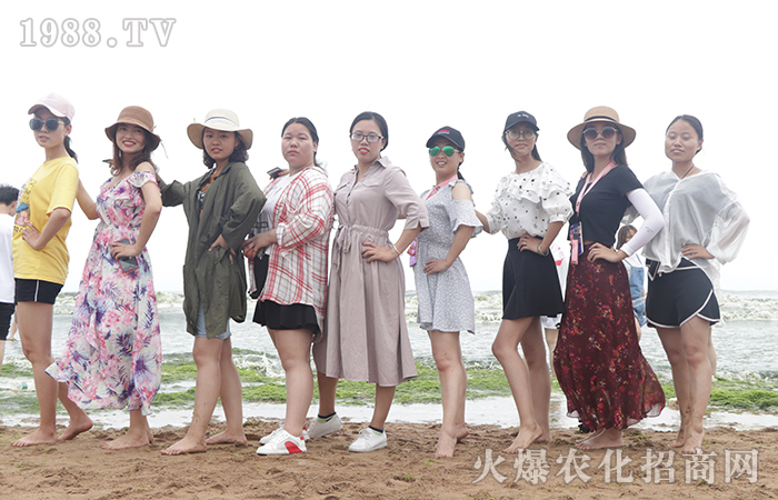 һ��������һ������