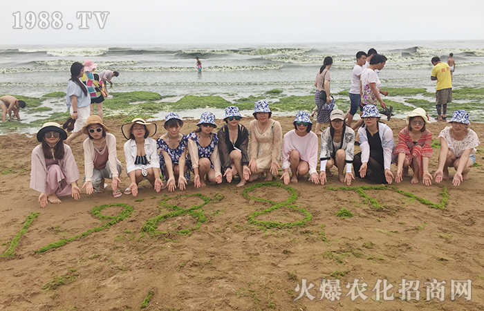 һƬ����һȺ����һ������һ������