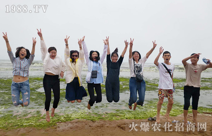 ��ˮʎ���������w�P(y��ng)