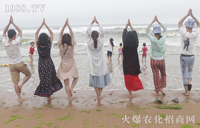 �L(f��ng)ƽ���o�ı�������(sh��)�t������ӿ