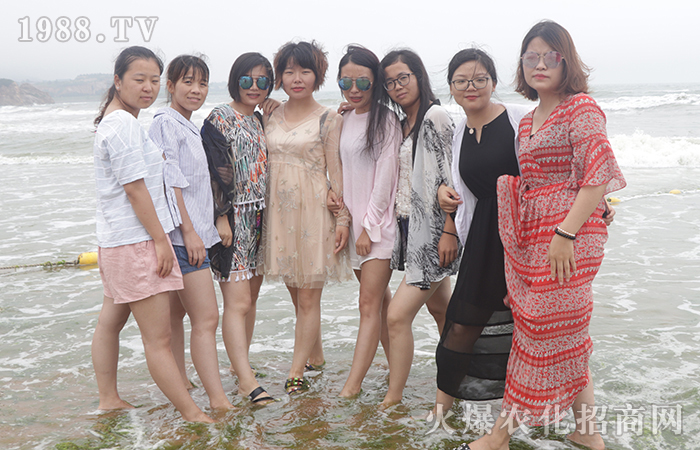 �g���������������u