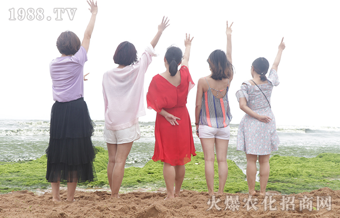 �̺��{�� �����h��