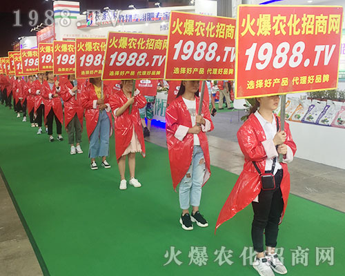 2018�����r(n��ng)�Y��(hu��)��1988.TV������������(sh��)���ɓ�