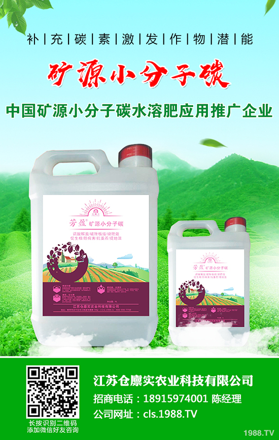 �R������l(f��)���߲���ô�k���R������߲����η�����