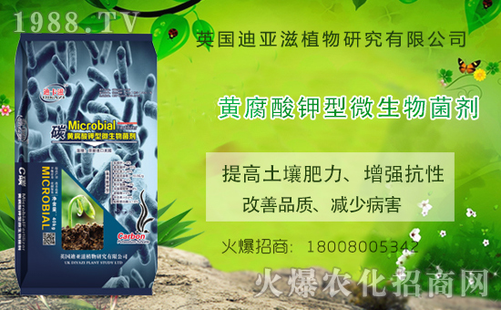 �r(n��ng)���W(w��ng)ϲӭ�����ѣ�Ӣ��(gu��)�ρ��̔y��1988.TV���_�ؾW(w��ng)�j(lu��)������������