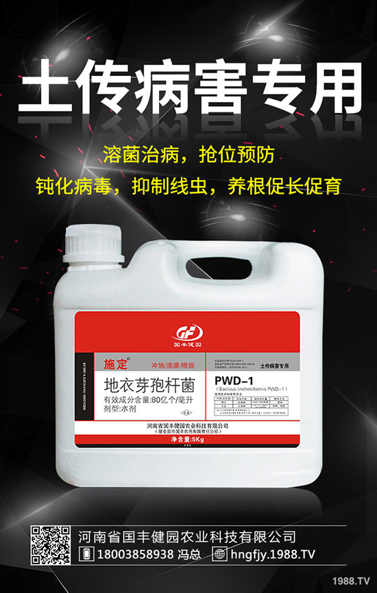 С�����݄�ʲô�r���ã�С������݄��ĕr�g��ע�����(xi��ng)��