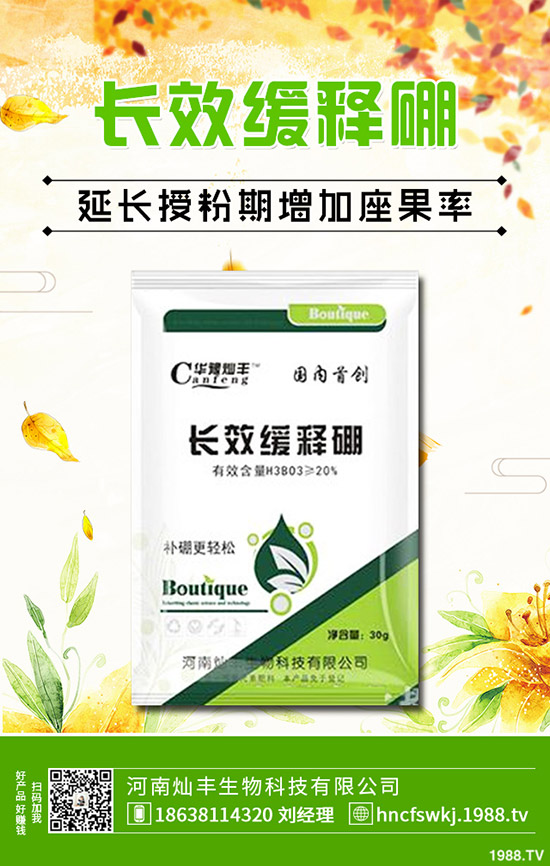 ���X�ݺ��~�X����ʲô��ͬ�����X�ݺ��~�X�ݵą^(q��)�e��Щ��