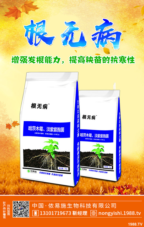     �����ǟ���߀�Ǜ������c������˵�ʳ������Щ��