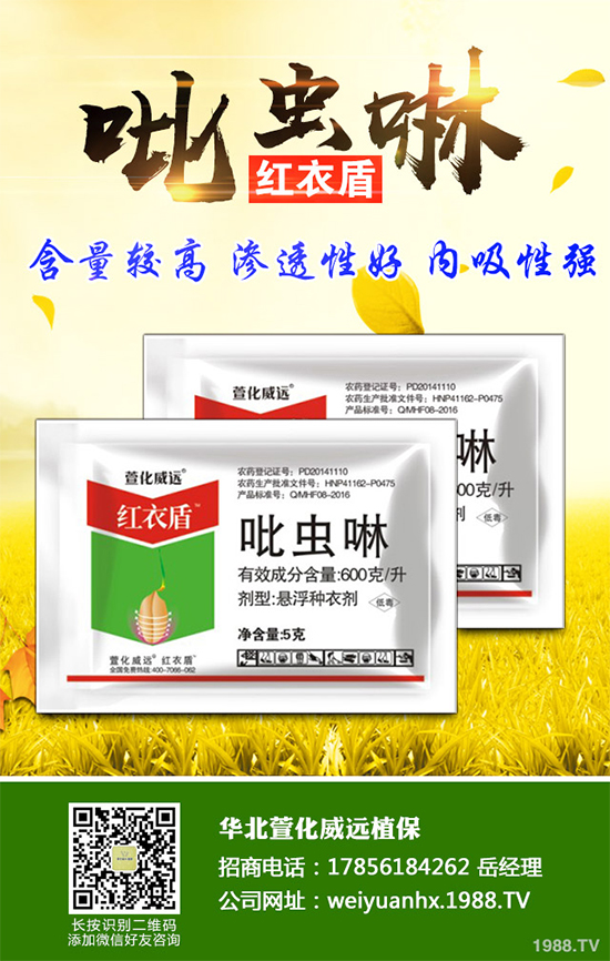 �����皢�x(ch��ng)���r(ji��)��