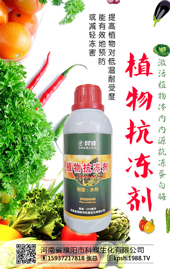 �������x���r(ji��)��