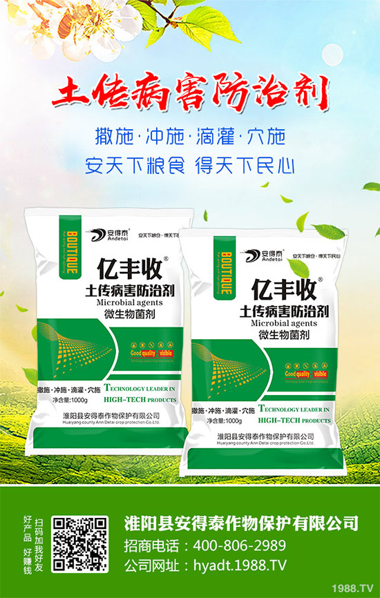 ���}���Ĺ�Ч�c���������}���I�B(y��ng)�r(ji��)ֵ��