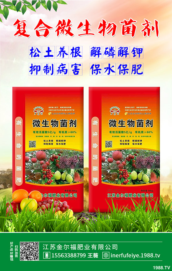 2019年10月18日最新復(fù)合肥價(jià)格走勢(shì)及交易日評(píng)