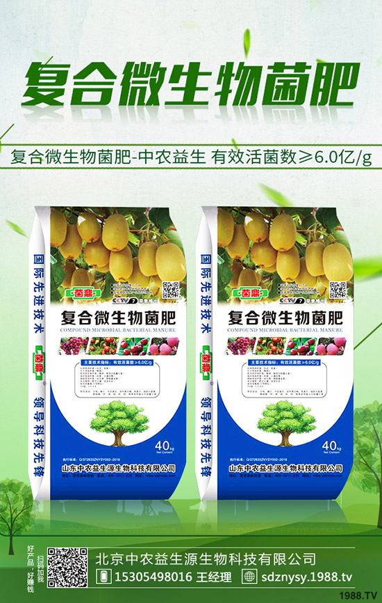     �ͺϷʶ������Ӿ������������ͺϷ��Ј��r���Ӎ2019-10-19