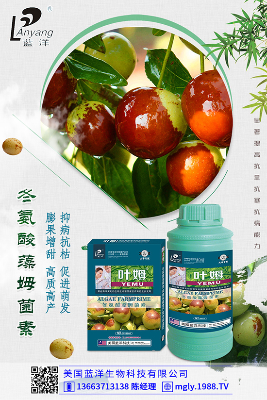 白菜軟腐病是如何引起的?有哪些危害?白菜軟腐病的發(fā)生與防治