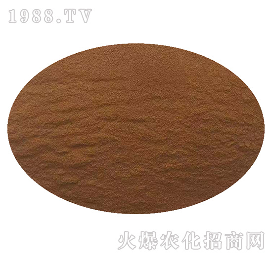 �ӱ���������ɹ����s1988.TV���y�ֹ���(chu��ng)��(zh��n)����