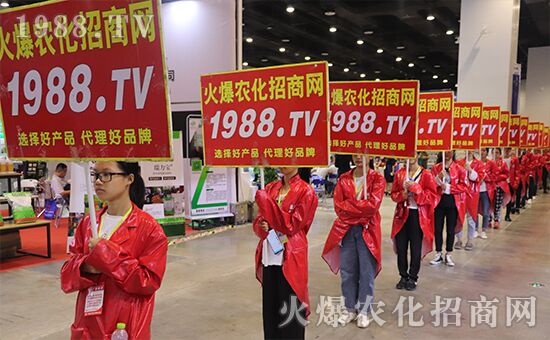 ǧ�̅R������Ʒ�Ƽ�|2019�����r(n��ng)����ʢ���_Ļ��