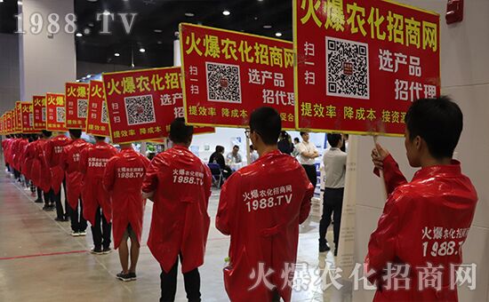 ǧ�̅R�ۣ���Ʒ�Ƽ�|2019�����r(n��ng)����ʢ���_Ļ��