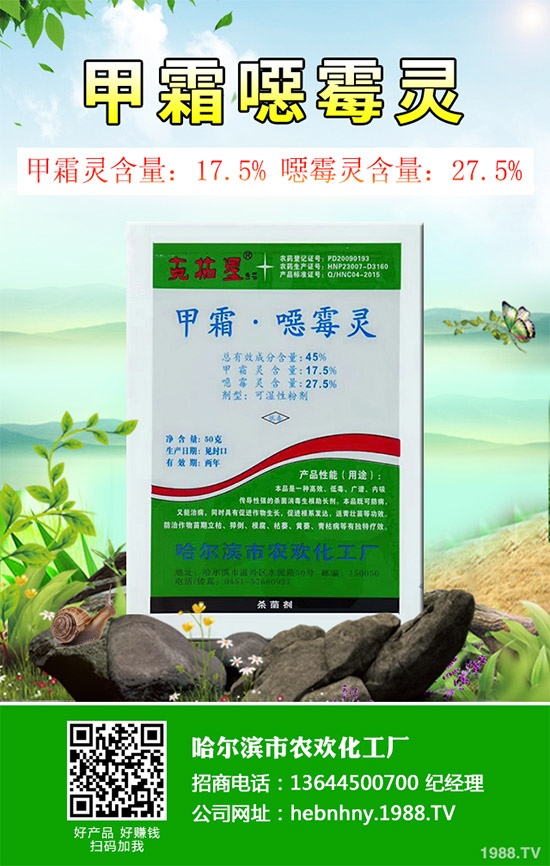     ���њ������r��