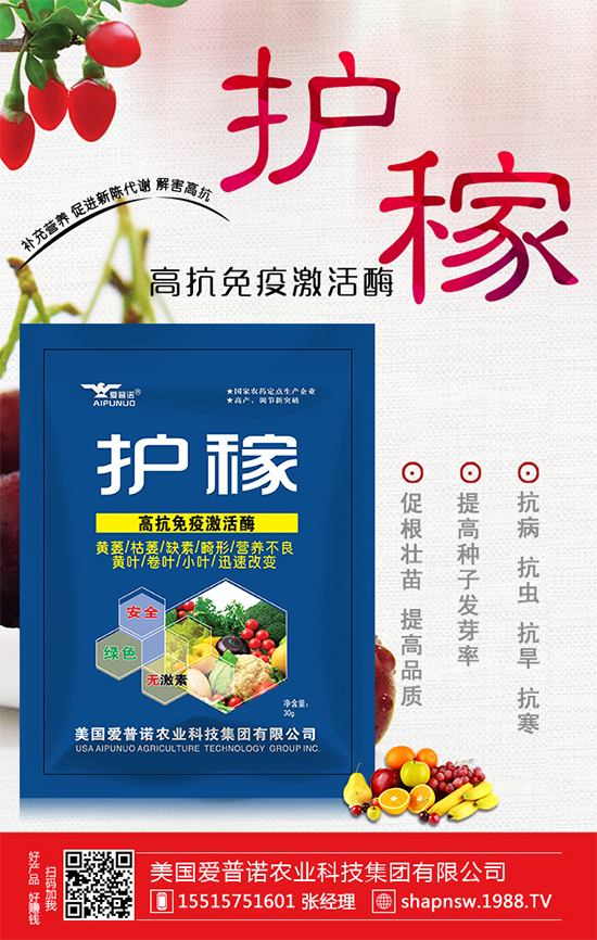 ɽ髵Ĺ�Ч�c��������ɽ���ʲô��̎��  