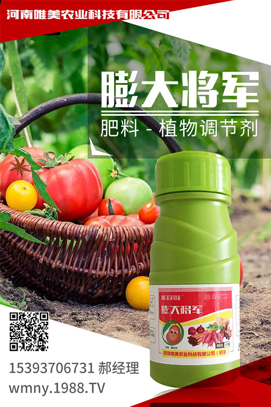 ������ô�Nֲ�������߮a�Nֲ����